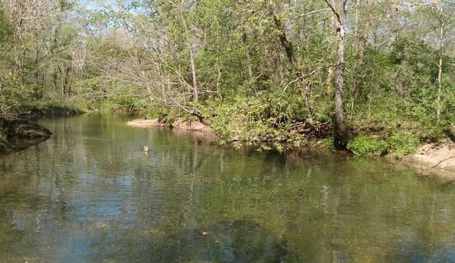 RV sites with river access.