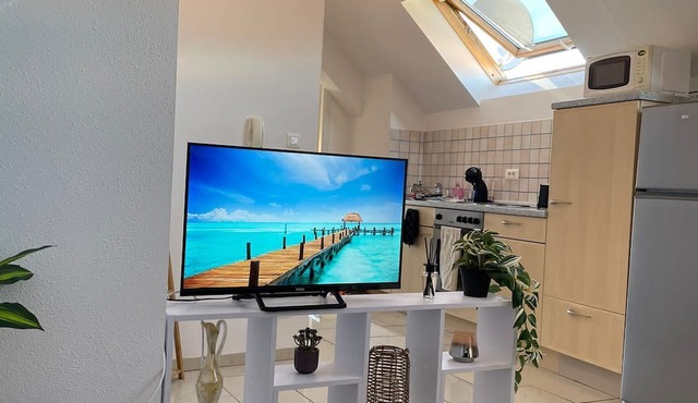 Appartement Centre Ville Erstein