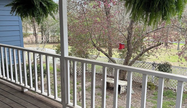 Adorable Aiken Farmhouse close to horse events and Old Barnwell Golf Club.