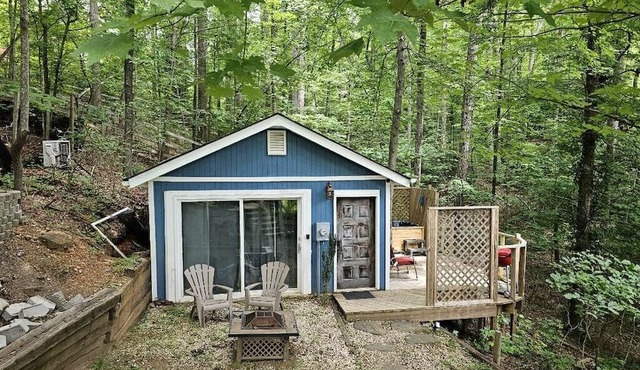Lakeshore Cottage Lake Lanier | Privacy, Free Wifi