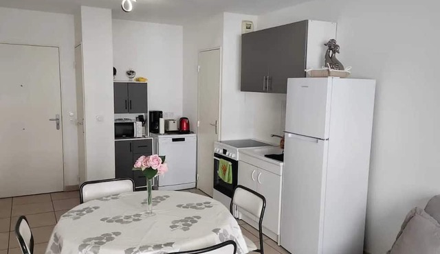 Homerez - Charming Apt - Villeurbanne