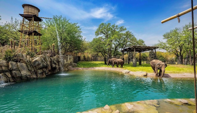Cozy Long-term Stay - 4BR, King/Queen Beds, Ft Worth