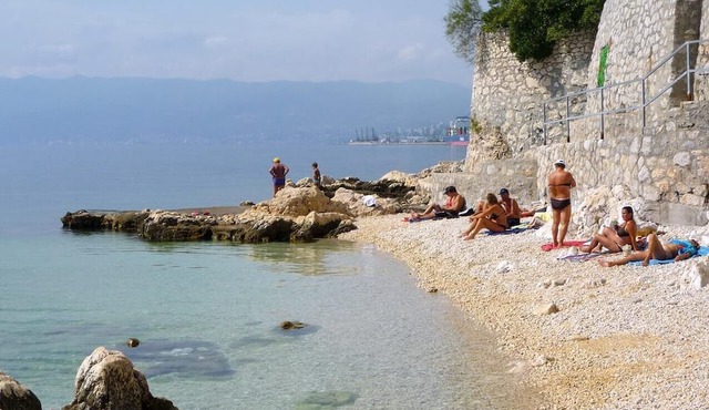 One bedroom apartment with air-conditioning Rijeka (A-21082-a)