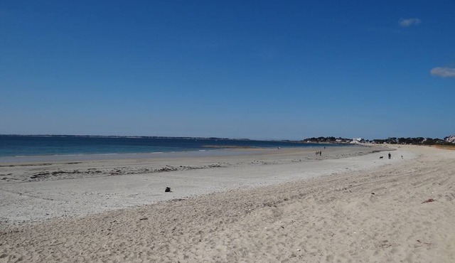 At Patricia's beautiful south-facing apartment