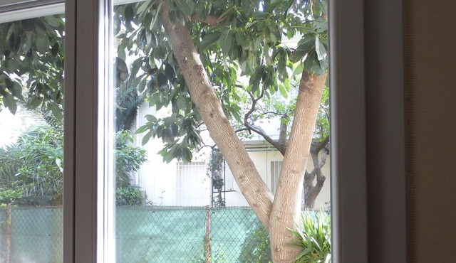 Vintage IN Perpignan, T2, Proximité Gare et Centre Ville