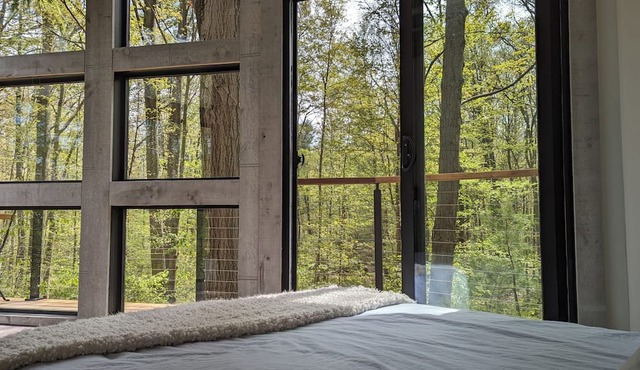Modern Cabin in the Woods