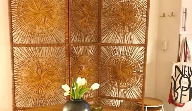 Artist’s Crouch End Garden Flat