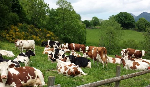 Gite Mandailles-Saint-Julien, 4 bedrooms, 8 persons