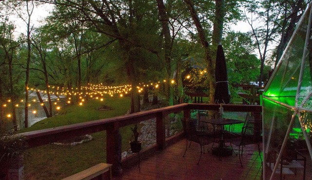 "Buzz-Worthy Retreat: Welcome to Honey Bee Way – Your Sweet Escape Awaits!"