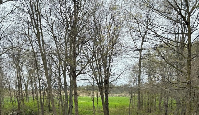 Country house with 3 bedrooms and 2 bathrooms. Several acres of woods to hike.