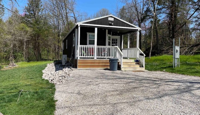 Modern-Sheik Cabin in the Woods