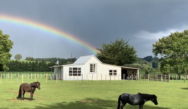Cliff Top Cottage just off SH1
