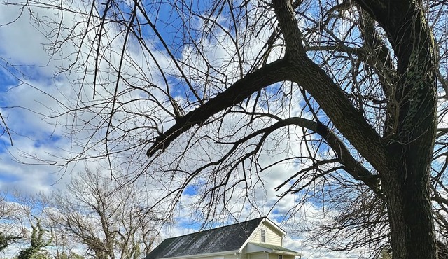 “Little Sligo” Downtown cottage.