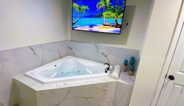 Luxury Studio-Apt w/ Jacuzzi 8 mi from IAH