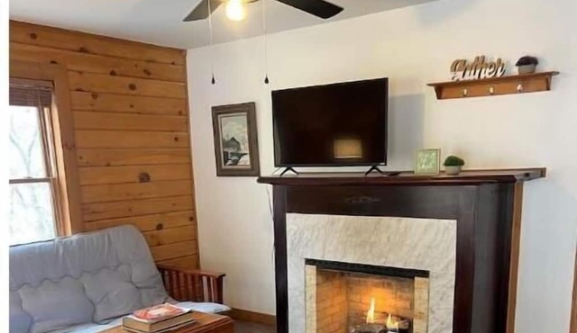 10 Min to Snowshoe! Large renovated Cabin with 4 bedrooms, 2 baths & large deck