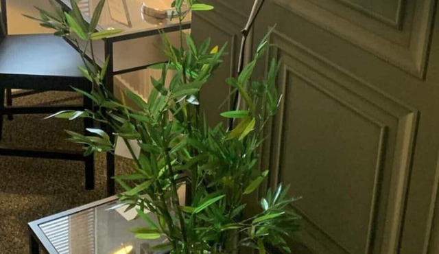 Matipa-Rise Apartments