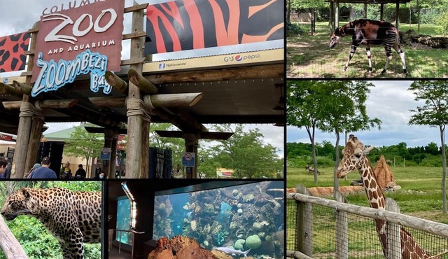 Family & Friends, 5BR 3BA Home Near Zoo , 10 min to OSU Downtown