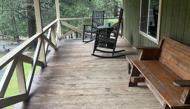 Charming cabin with creek, fire pit. Pet friendly! Walkable to Salt Springs Prk