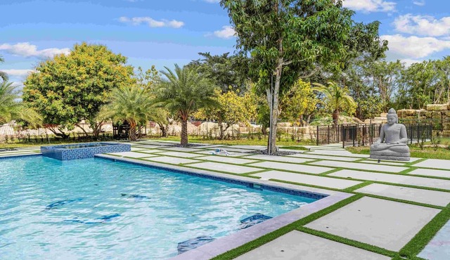 Lake of Dreams / Pool, Jacuzzi / Table Ping Pong