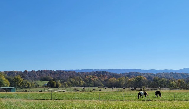 TN Riverfront RV escape w/ RV, Kayaks, & beautiful views!