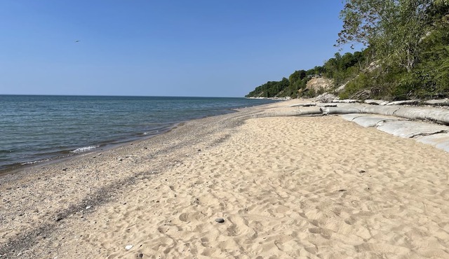 Lakefront Cottage with Private Beach 10 min from South Haven