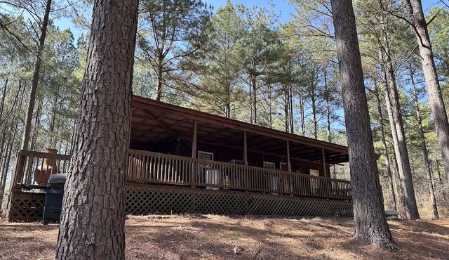 NEW LISTING! Private Cabin with Big Piney Creek frontage!