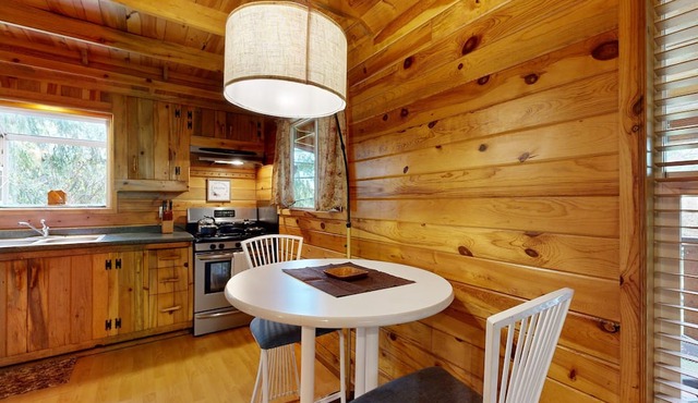 Secluded cabin with pond views, streaming, W/D, & partial AC - dog-friendly