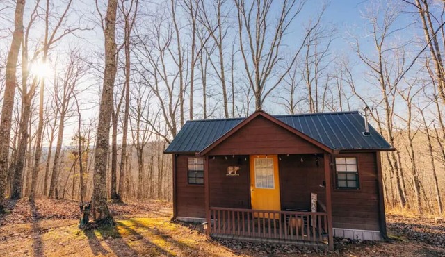 Cozy Tiny Cabin Getaway w/ Views