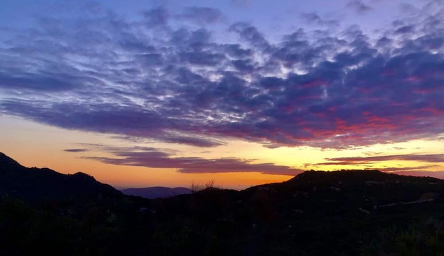 “Discover the Joy of Nature at GoodVibes Ranch & Farm!”