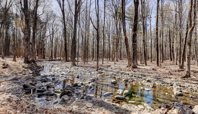 Cozy and quiet 1850's Saxton Creek Farmhouse close to Saugerties, Woodstock