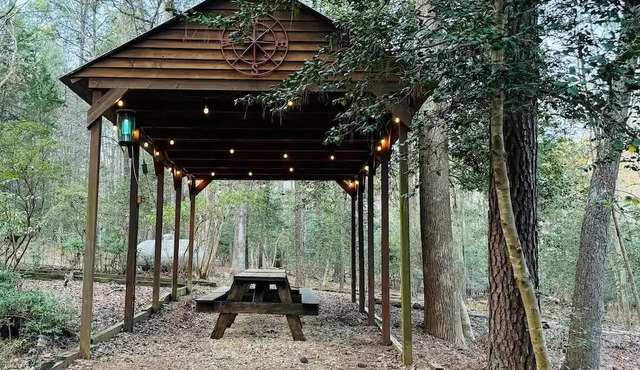 Cute Cabin in the woods ideal for couples