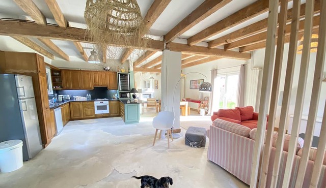 D&d, La Maison Léon