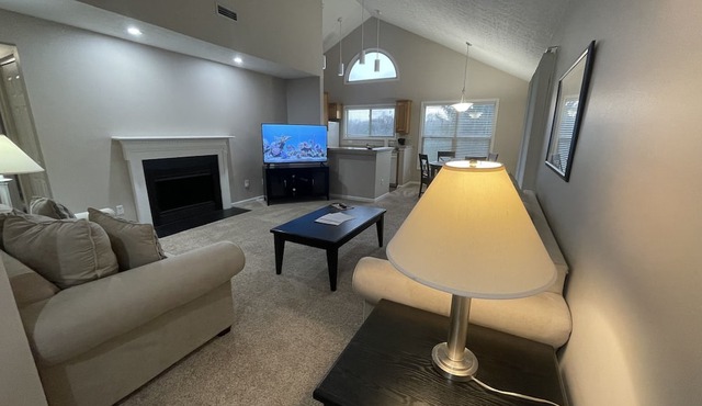 H-U-G-E furnished apartment in Dublin!