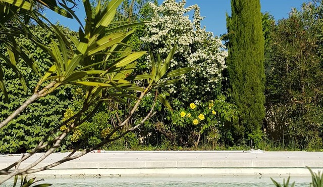 Holiday Home 'Villa Le Mas Des Fleurs' with Private Pool, Private Terrace and Wi-Fi