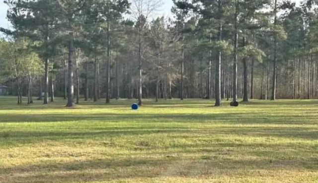 Stock Law Gap Campground