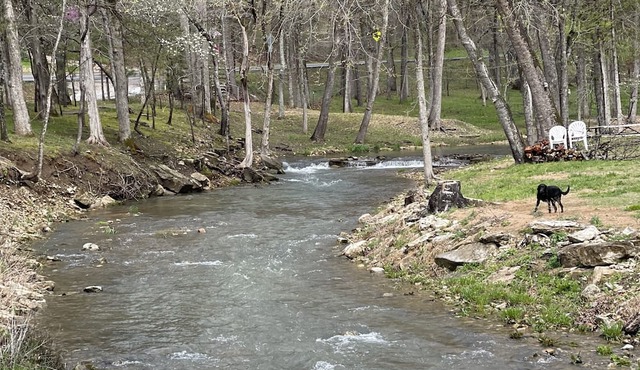 Camping By Mill Creek