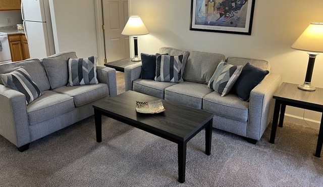 Troy location! 2 bed 2 bath fully furnished with balcony!