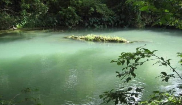 Hill Country Getaway on the San Marcos River w/ 200 ft of private river access.