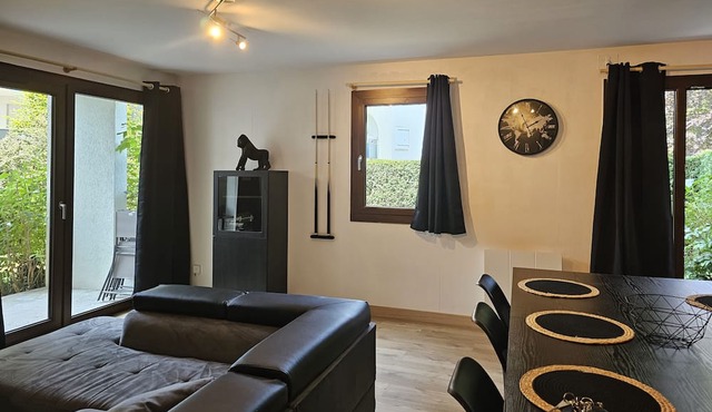 Nice spacious nest in Annecy