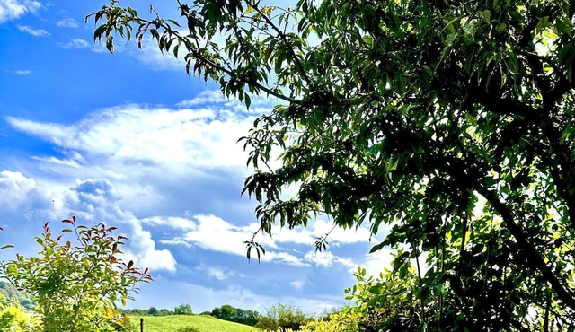 Renovated Cottage in Sherborne with Stunning Views