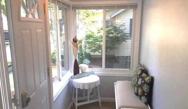 New - Cute Elk Rapids Cottage - close to Horse Show.