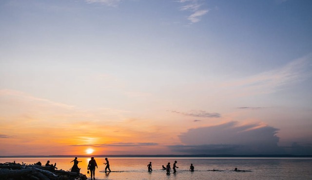 Rustic Woodland Lodge