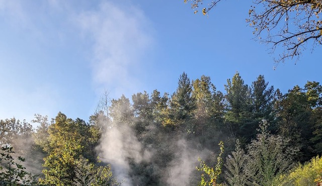 Morton Barn, 25 acres of woods, trails setting, 1.5 acres fishing pond