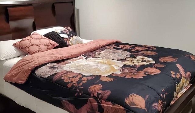 Cozy 1-bedroom house in charming Chicago with WiFi, AC