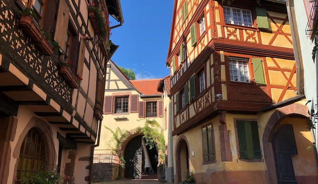 Renovated luxury apartment, in the middle of the Alsace wine route