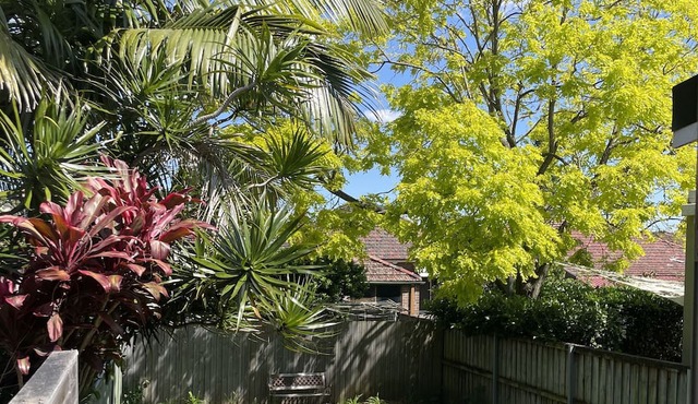 Sunny one bedroom villa in a quite and relaxing area, 20 minutes from CBD