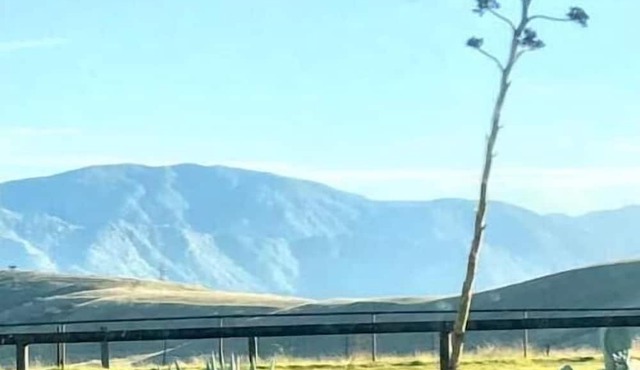 Tiny Home, Big Views