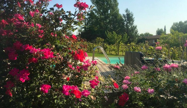 Homerez - Big villa for 10 ppl. with swimming-pool and terrace at Montgaillard