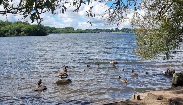 The Pennington Apartment Next to Sports Village