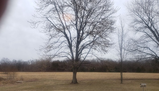 Primitive camping for April 8th 2024 southern illinois eclipse